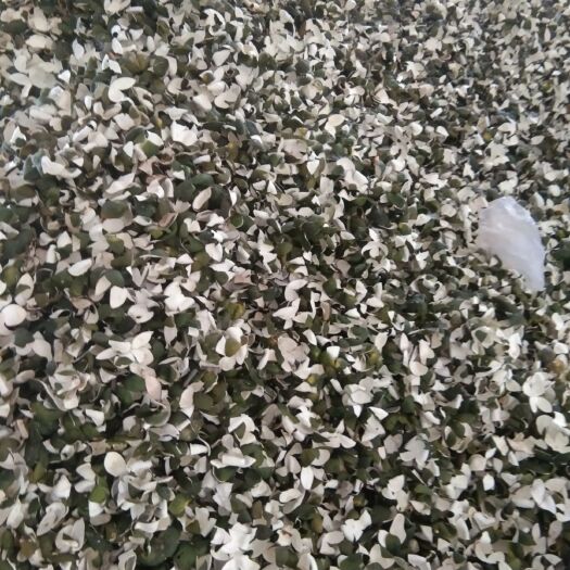 枝江市新干陈皮 四花青皮