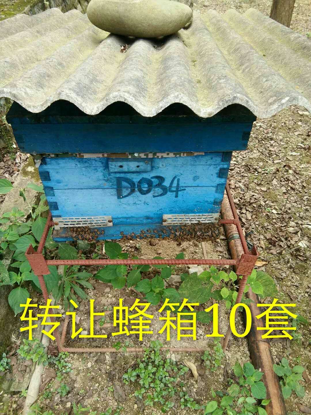 蜂具 蜂箱，蜜蜂箱子