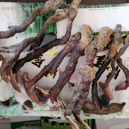 贵阳黄灵芝 来自贵州织金原始森林，天然生长的灵芝。