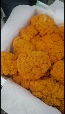 昆明 金耳基地就近发货，新鲜到家