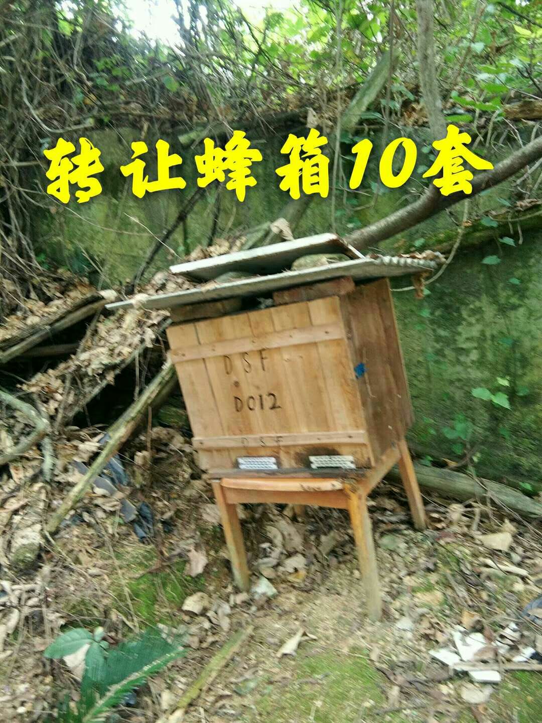 蜂具 蜂箱，蜜蜂箱子