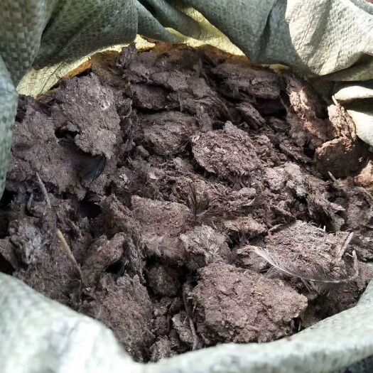宁乡市有机肥料 谷壳鸡粪，一手货源！