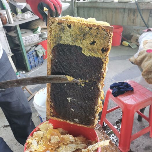意蜂蜂蜜 云南丽江华坪出产百花蜜 