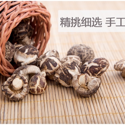 十堰蘑菇 房县圣臻小花菇，高山生长
