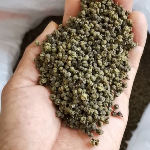 罗城县吴茱萸  广西品种