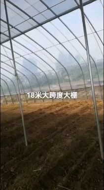 天津单体棚 椭圆管热镀锌大棚