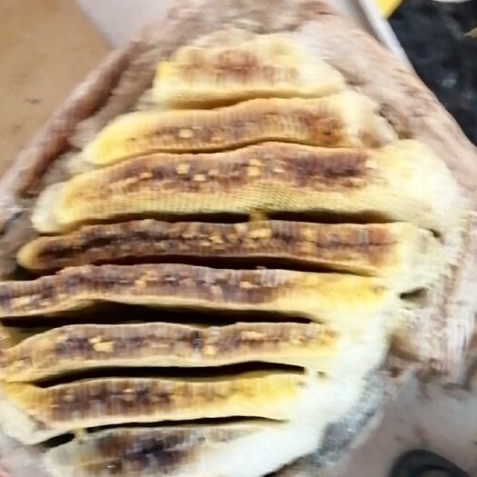 庄浪县百花蜜 2年 42 本品不能代替药物 