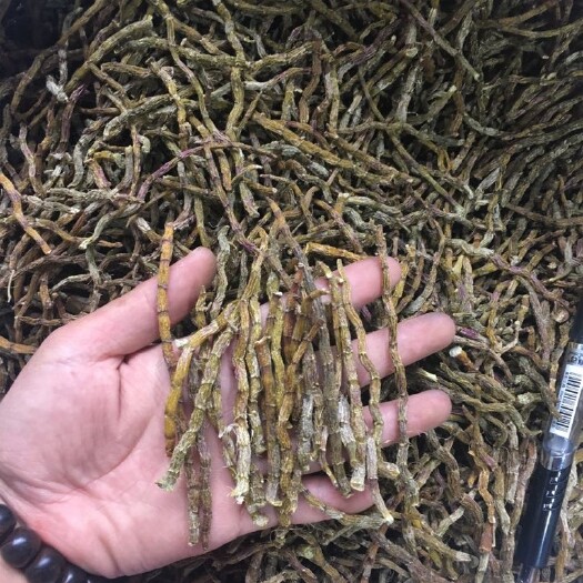 芒市 铁皮石斛干条牙条
