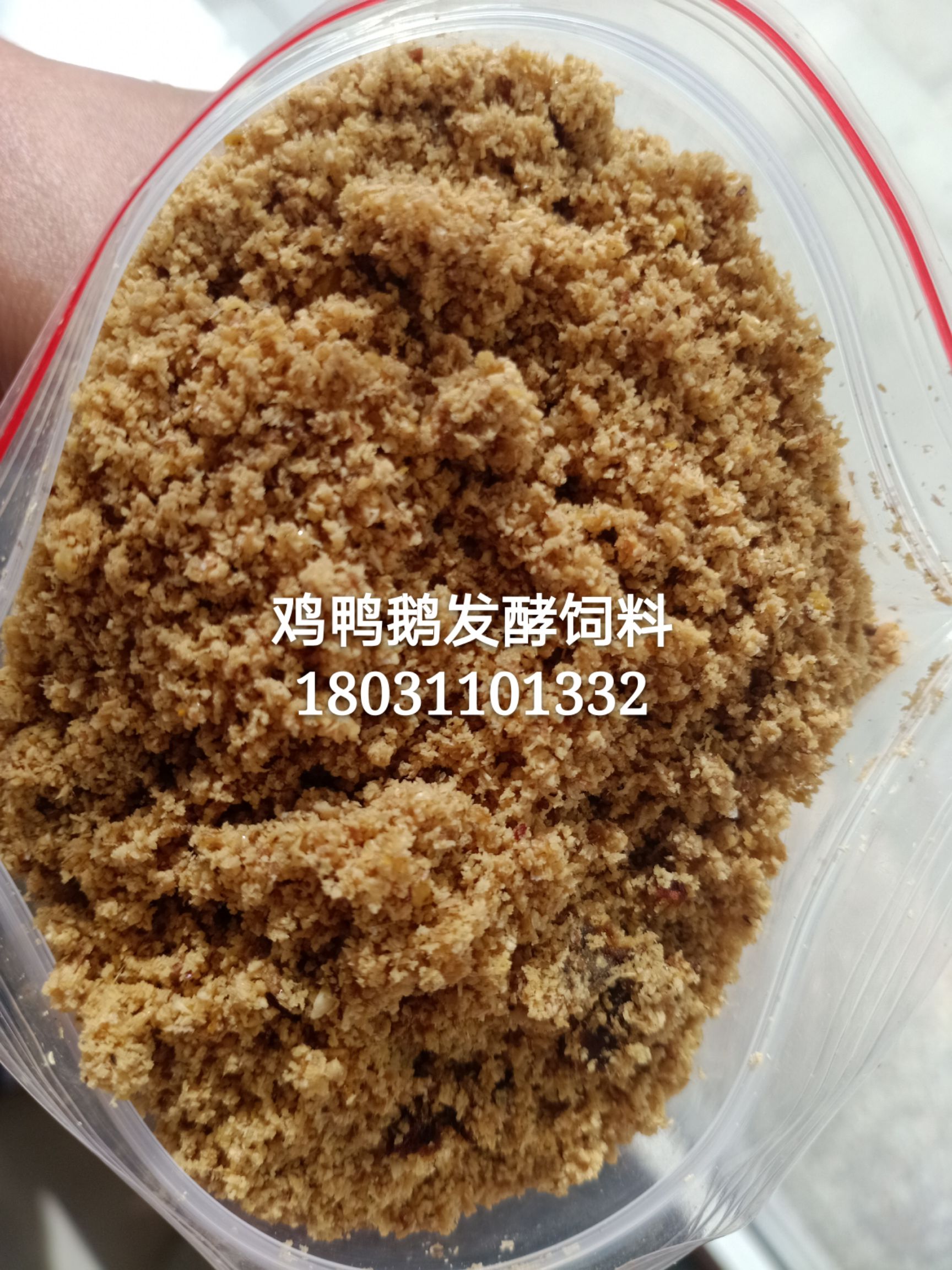 禽畜用饲料  益生菌发酵饲料，禽类，畜牧，反刍