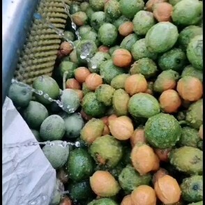 莎车县薄皮核桃 30mm以上 箱装 3-6个月 