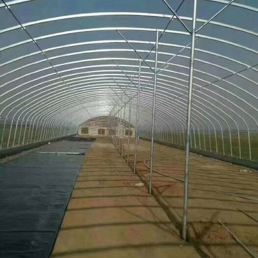 天津种植棚，养殖棚。薄膜连栋棚。