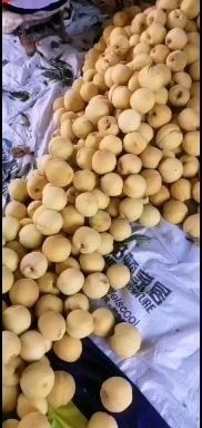 武功县黄金黄桃 大黄桃