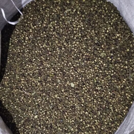 鲁甸县 云南青花椒种植基地大量批发零售欢迎采购