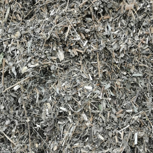贺州黄荆子 黄荆枝柑货