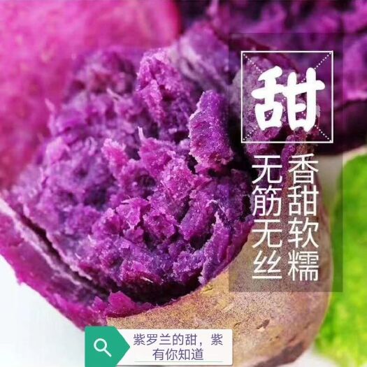 莒南县野地瓜