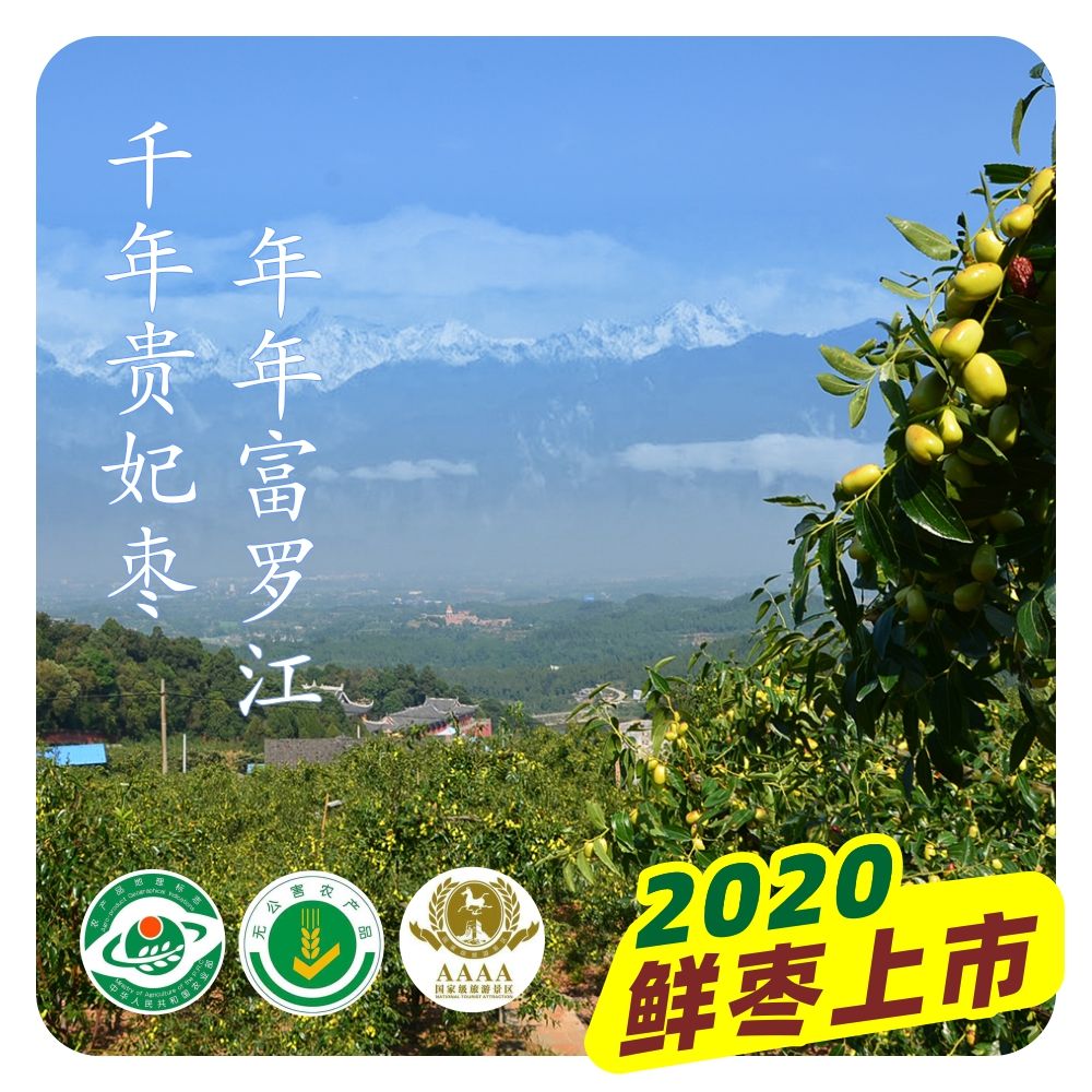  鲜枣 贵妃枣 红枣长枣