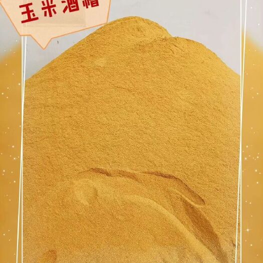 石家庄玉米酒糟  厂家直销DDGS