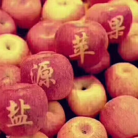 盐源县盐源苹果 60mm以下 全红 光果 