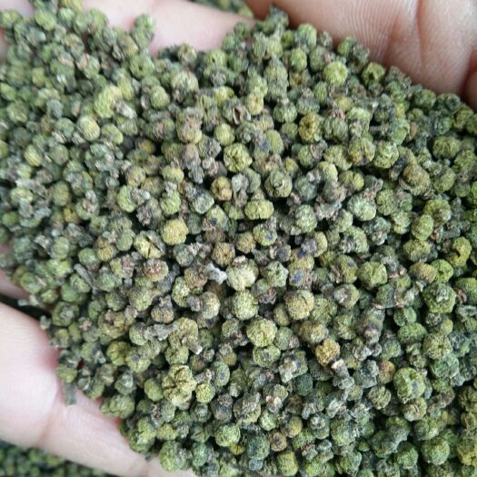 罗城县吴茱萸（广西品种）