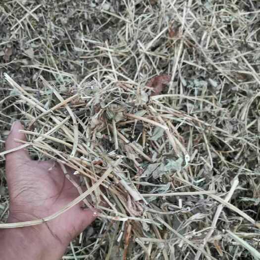 遂平县花生秧 天然，无污染，量大从优。