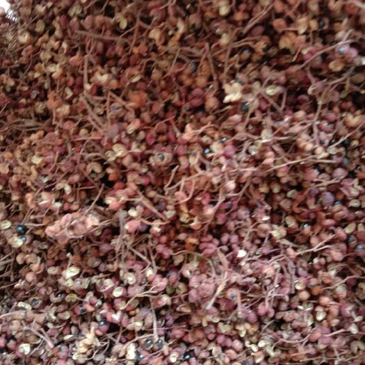 武安市大红袍花椒 特级 干花椒 