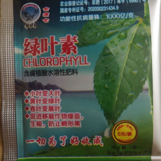 石家庄菌肥  小叶变大叶黄叶变，绿叶卷叶变展叶。延长采摘期，增产30%以上