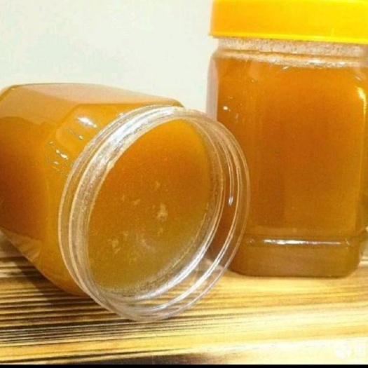 北流市土蜂蜜  正宗野蜂蜜