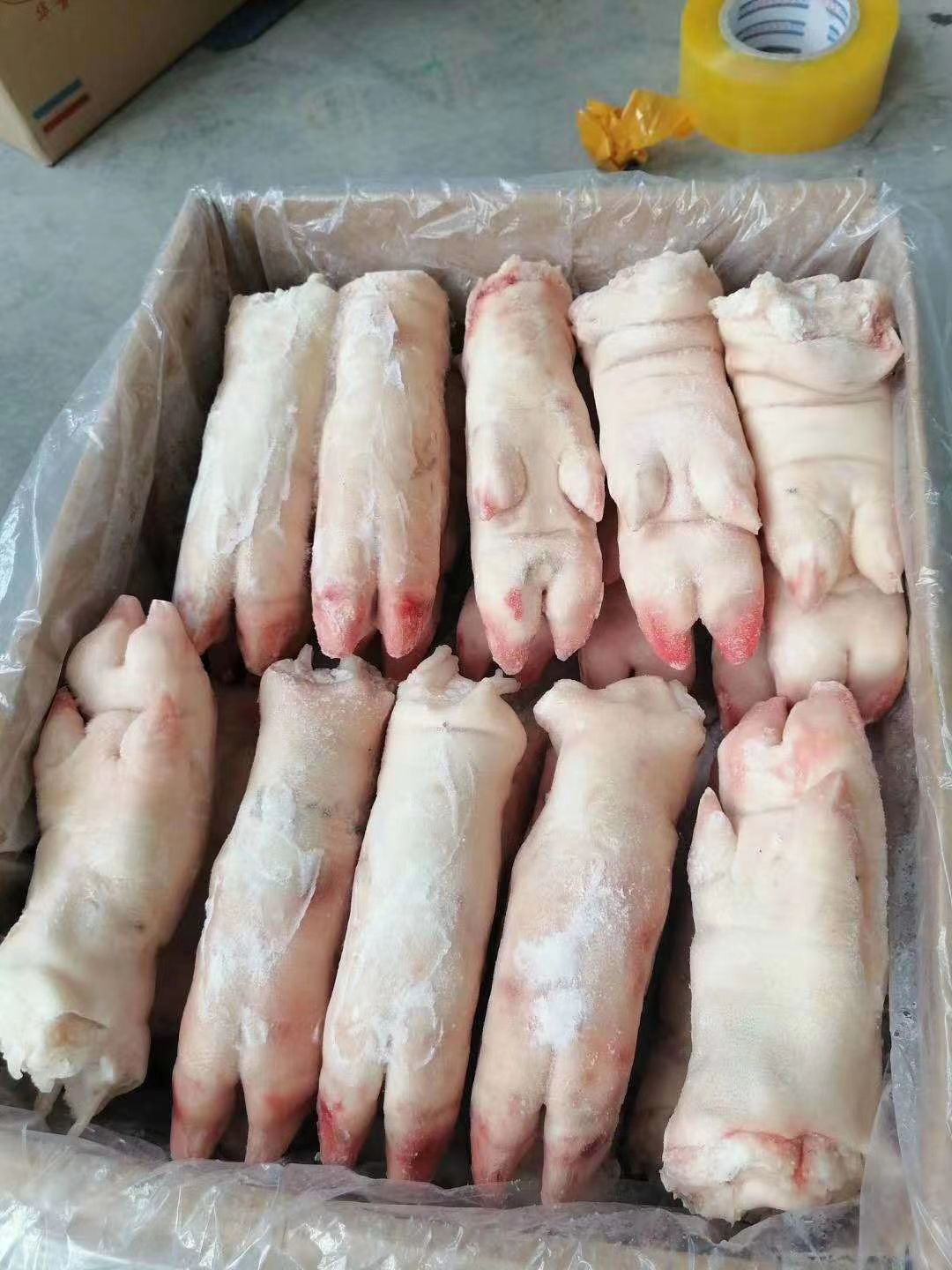 猪蹄，国产带筋猪前蹄，
