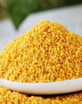 灵丘县 正宗山西武灵黄小米