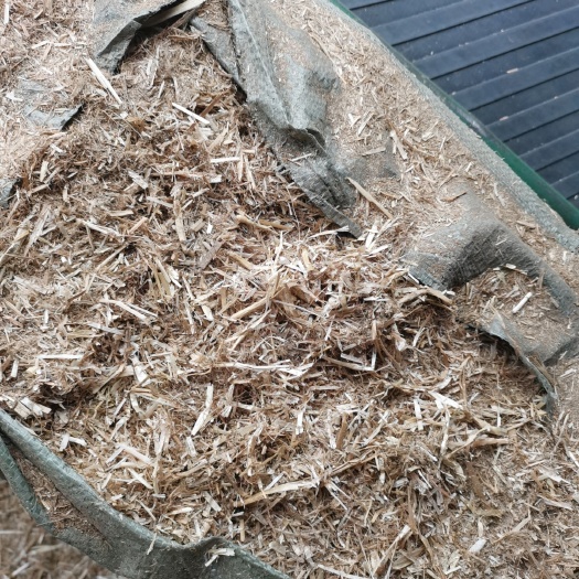 枣庄小麦秸秆 