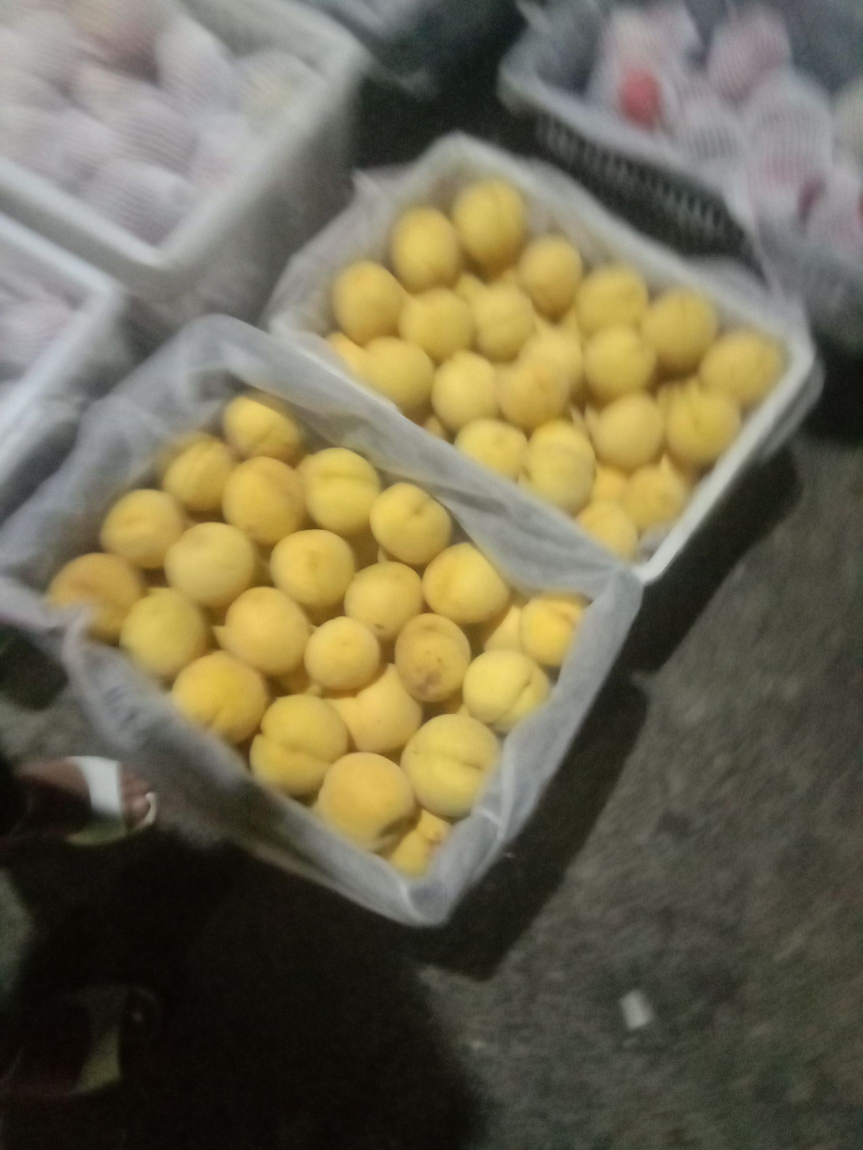 砀山黄桃 70mm以上 4两以上 