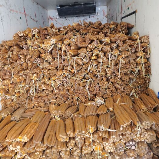 铁棍山药  正宗铁棍紫药大量供应优质网袋山药产地直供新鲜蔬菜粉糯面甜