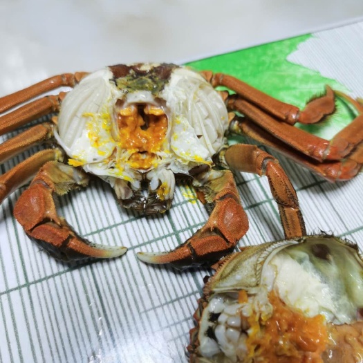 汈汊湖大闸蟹 河蟹