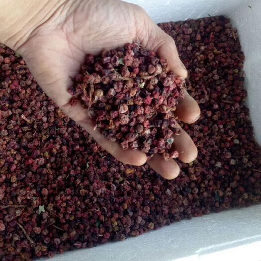 宁强县南五味子  五味子新货干品上市    可药用可泡茶