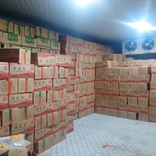 绥中县水面筋 各种规格面筋串大量工厂直发