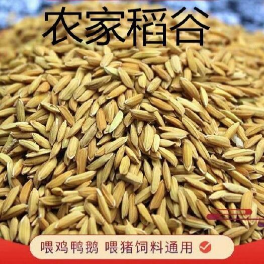 广昌县籼稻谷 中稻/一季稻