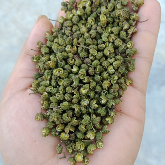 岳阳青花椒  金阳花椒 干花椒   95以上开口