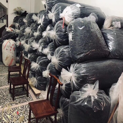 潮州凤凰单枞 凤凰单丛茶