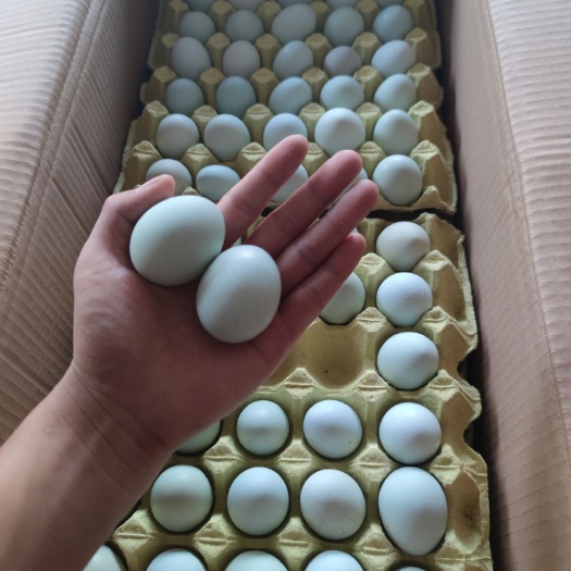 长沙县绿壳蛋  480枚装的。毛重55到56斤左右，全国物流，产地