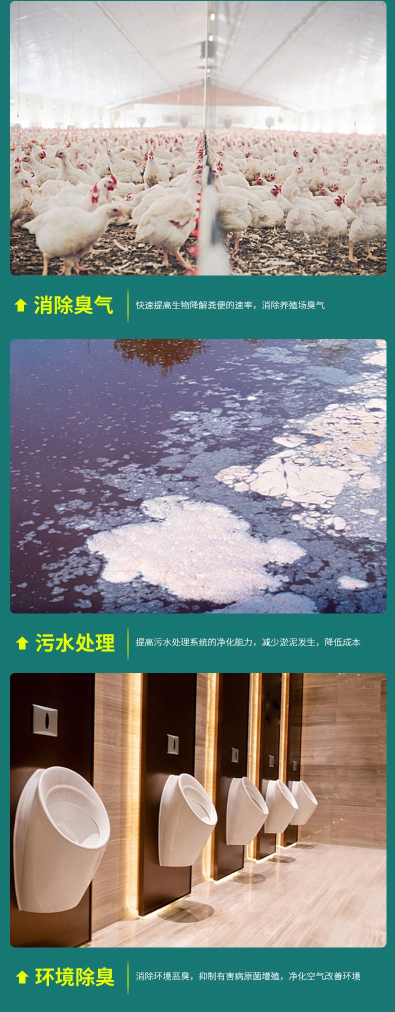 微生物除臭剂鸡舍栏舍除臭养殖场垃圾场除臭粪便除臭可喷洒可饲喂