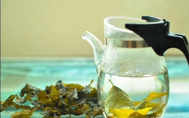 正安县 苦丁茶舒心茶