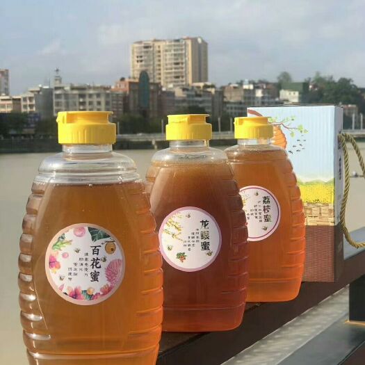 吴川市土蜂蜜  来自山里人家好产品！蜂蜜来自首乌花、白银树花、龙眼花、桔子花