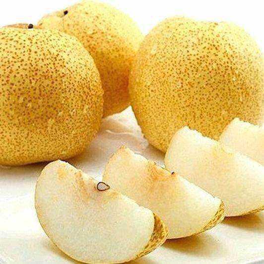 【一件代发】河南宁陵金顶谢花酥梨精品9斤装