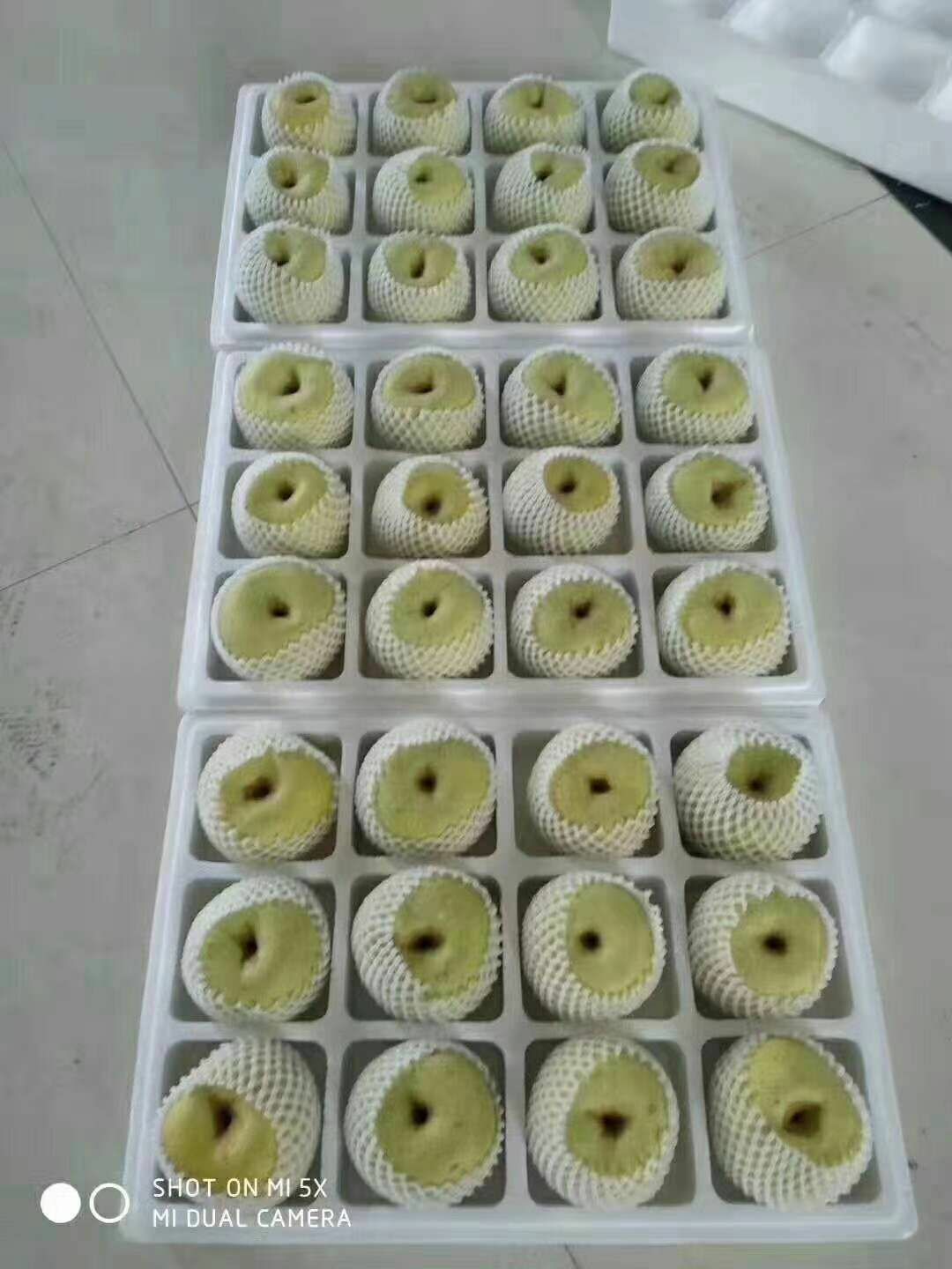 【一件代发】河南宁陵金顶谢花酥梨精品9斤装