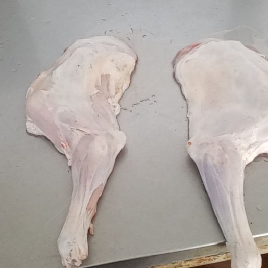 井陉县羊腿肉  羔羊腿  规格齐全