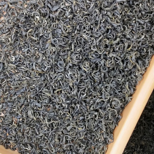 雅安炒青茶 2020新茶