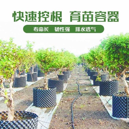 仙居县控根容器 育苗容器快速控根器