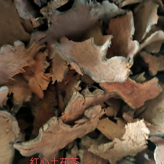 惠水县菝葜