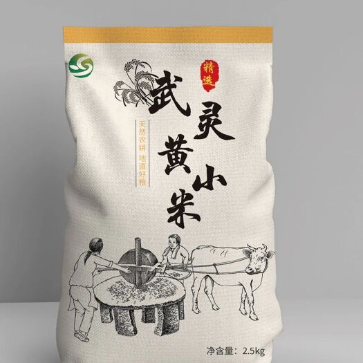 灵丘县 农家种植生产的黄小米