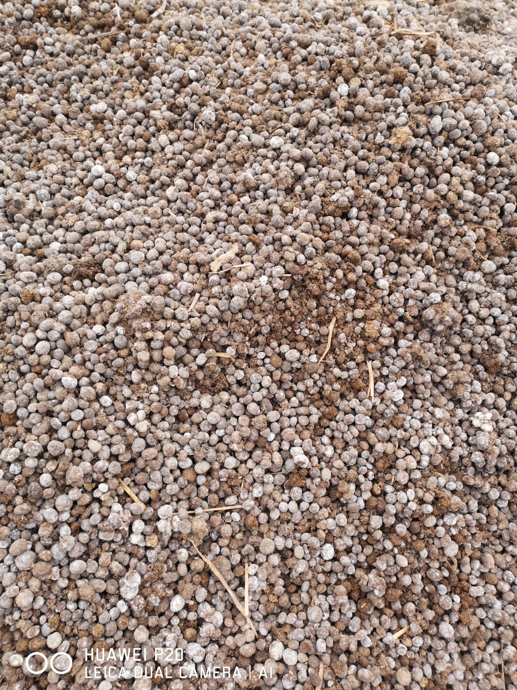 常年供应兔粪，质量优，包装满。